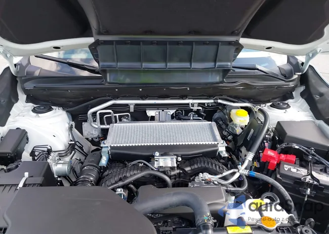 4S4WMAAD4S3442203: 43188029