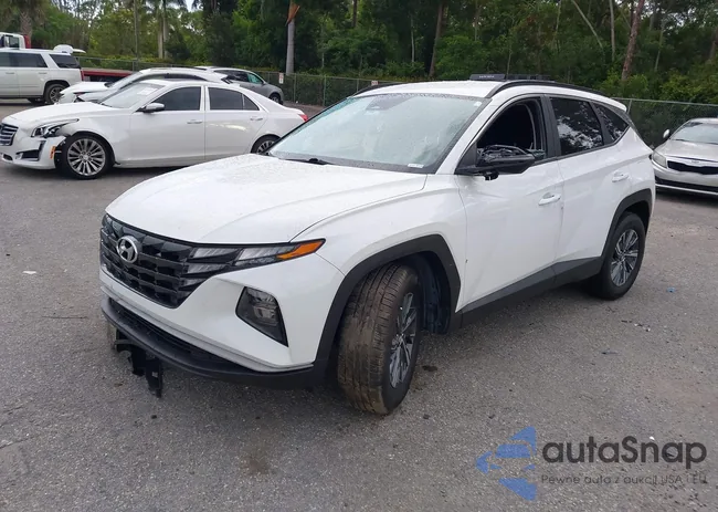 KM8JBCA1XNU020744: 43188233