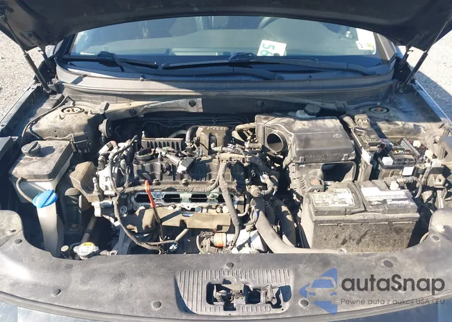 5NPE34AF7GH430239: 43187722