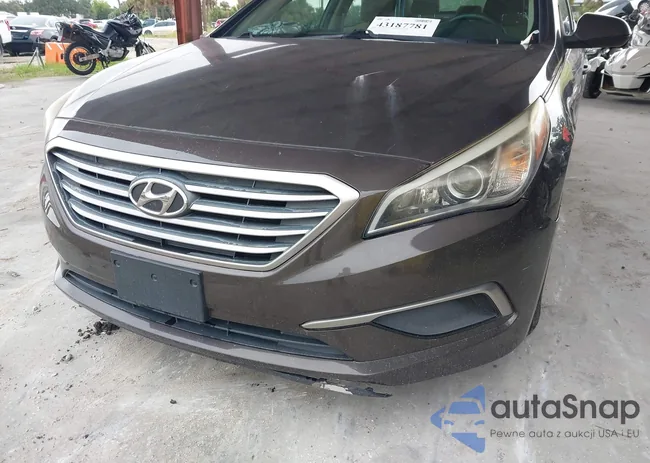 5NPE24AF4GH375980: 43187781