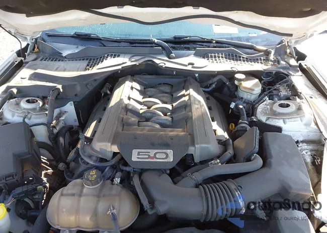 1FA6P8CF4H5238698: 43189862