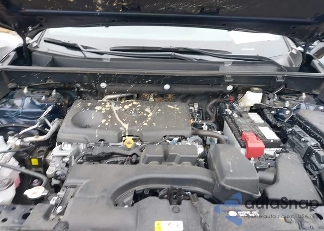 2T3P1RFV3SW544204: 43191182