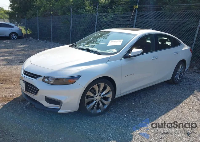 1G1ZH5SX1GF351278: 43191356