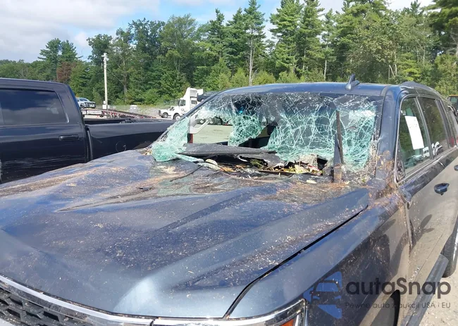 1GNSKBKC7KR180041: 43191387