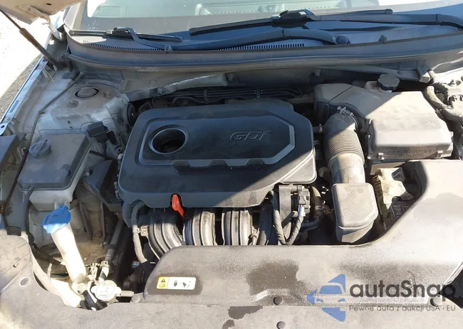 5NPE24AF5HH517531: 43191535