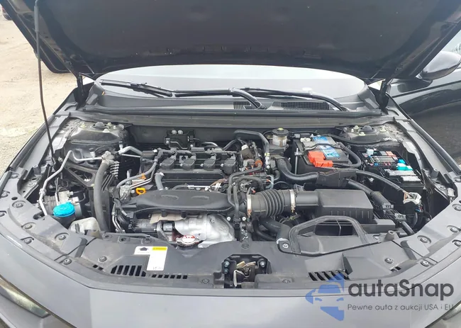 1HGCY1F28RA060931: 43190743