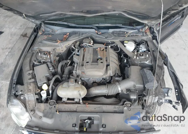 1FATP8UH3K5179315: 43192455