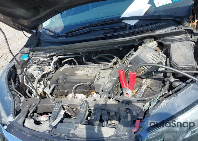 5J6RM4H41GL052055: 43192479