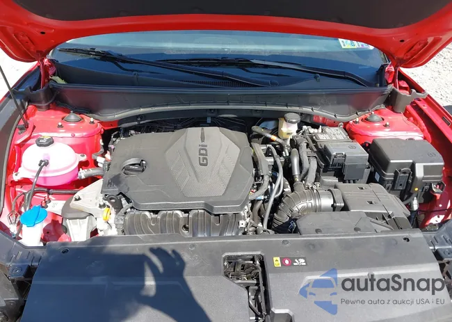 5NMJFCAE0PH235541: 43191744