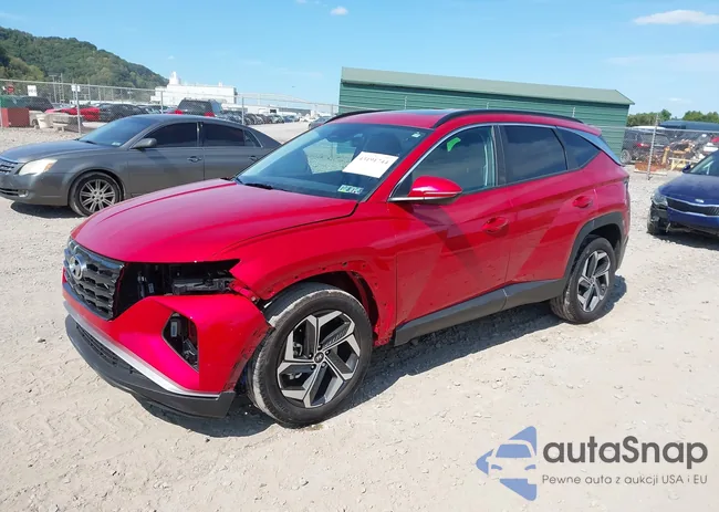 5NMJFCAE0PH235541: 43191744