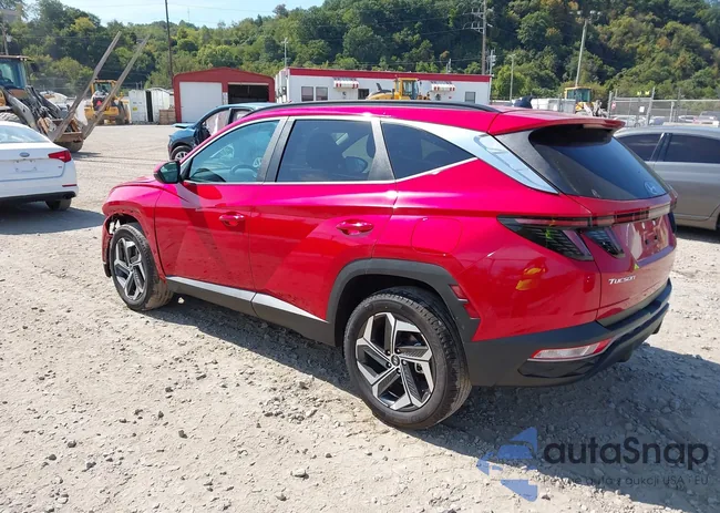 5NMJFCAE0PH235541: 43191744