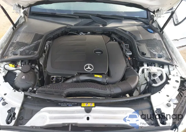 WDDWJ8EB3KF875000: 43193165