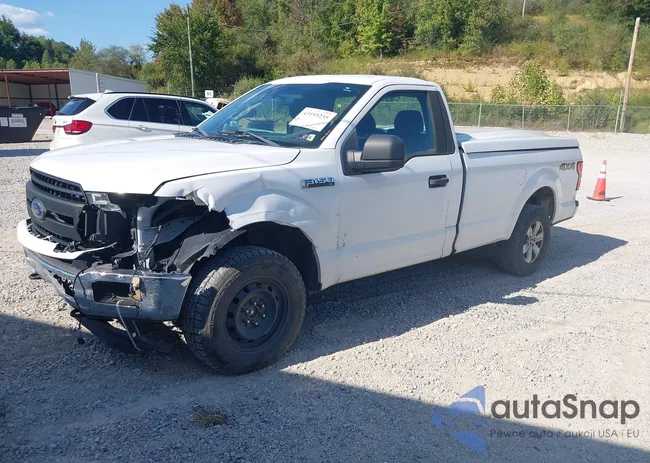 1FTMF1EB0KKD32317: 43193235