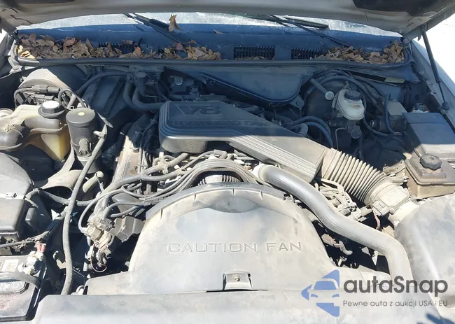 2MELM74W1SX677232: 43194387