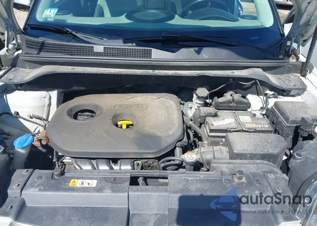 KNDJP3A53J7516292: 43194484