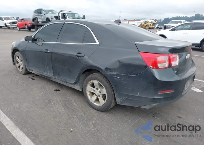 1G11C5SLXEF204382: 43193586