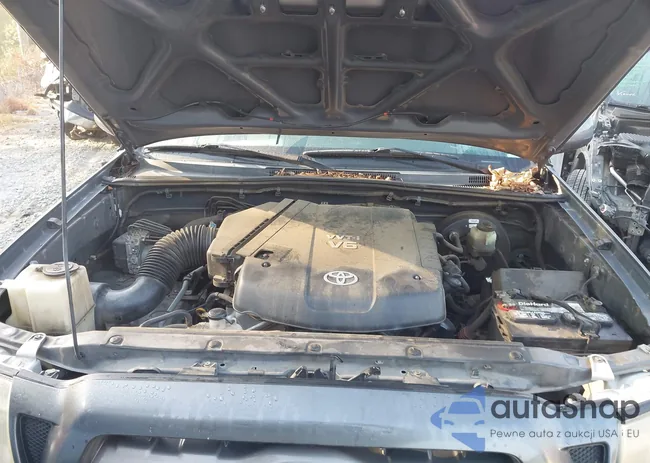 5TEMU4FNXAZ678031: 43195388