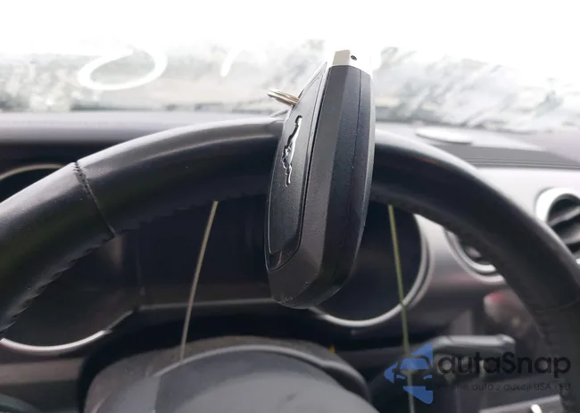 1FA6P8THXK5123113: 43195394