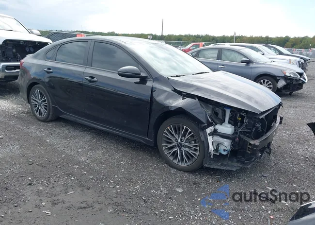 3KPF54AD4PE540828: 43195463