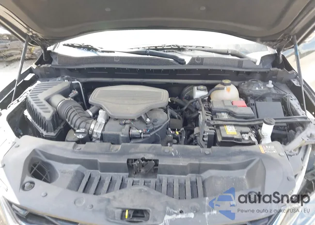 3GNKBERS6LS631120: 43195479