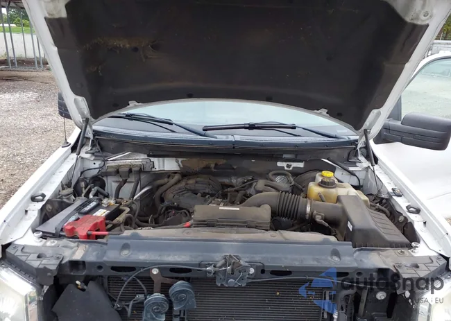 1FTMF1CM9EKE11526: 43195556