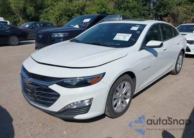 1G1ZD5ST6RF165800: 43194619