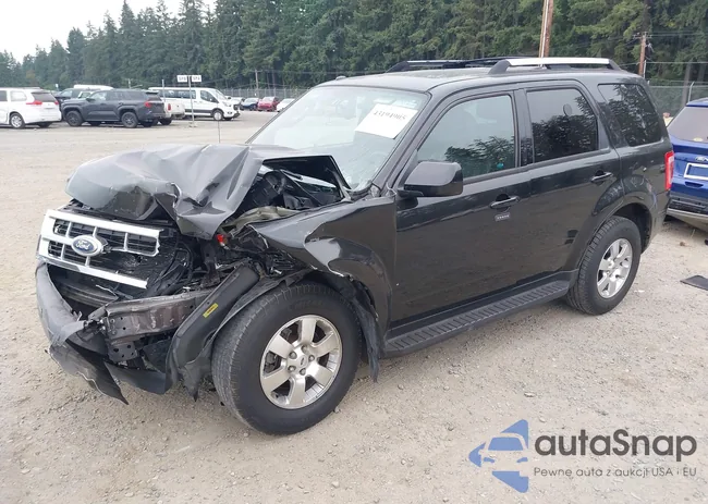 1FMCU9EG9BKB25836: 43194905