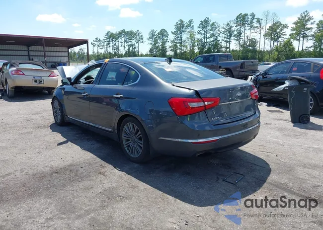 KNALN4D79E5120304: 43196218