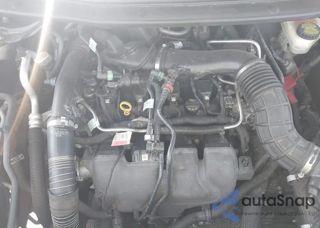 1FM5K7DH8HGD89932: 43196299