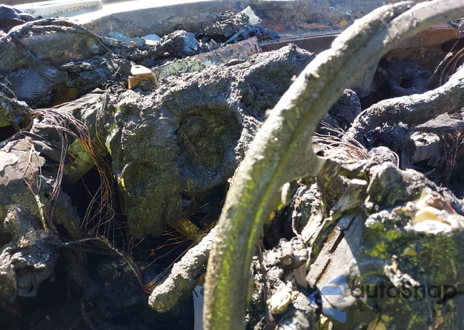 2GCEK190181197155: 43195634