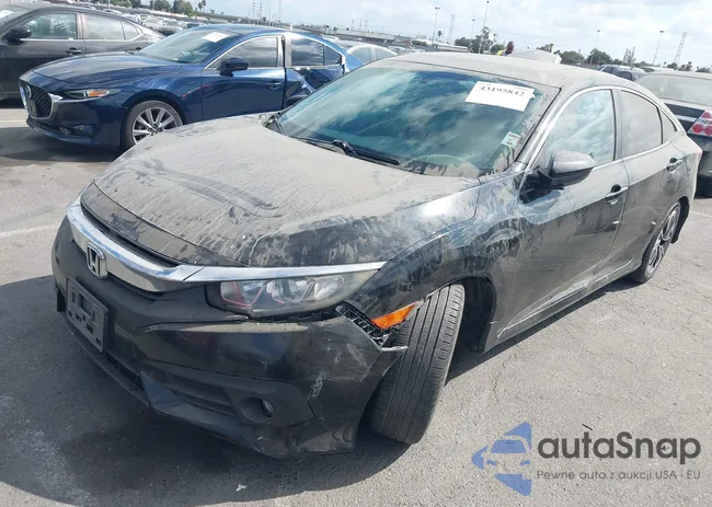 2HGFC1F36HH654583: 43195842