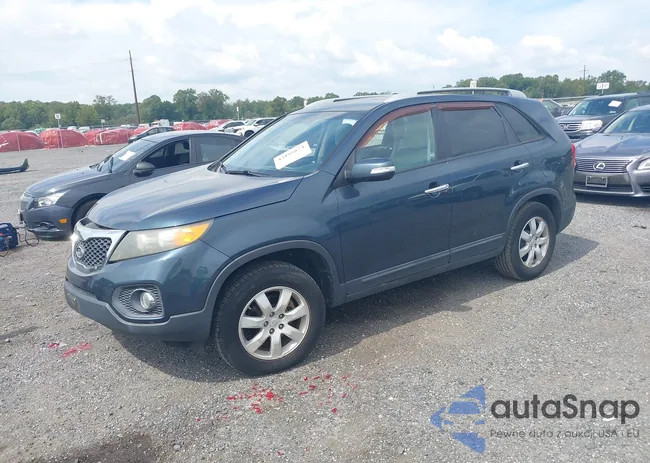 5XYKT3A17BG126779: 43195874