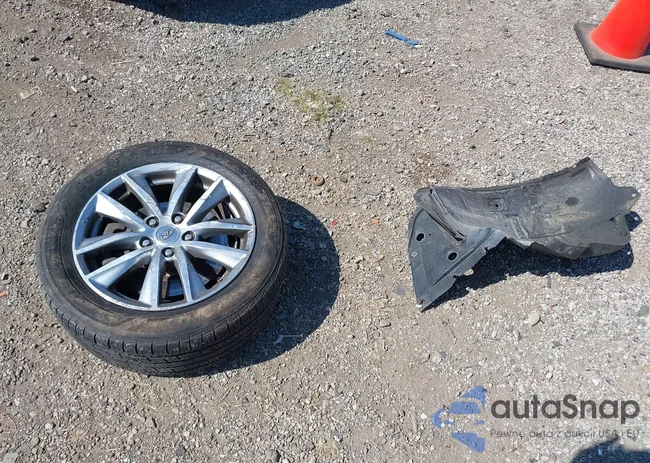 JN1BV7AR0FM392966: 43195948