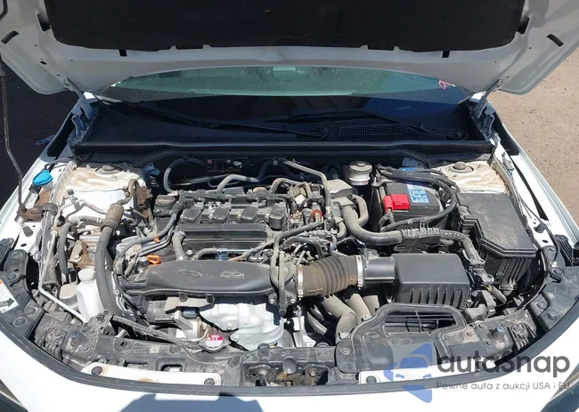 19XFL1H78PE016795: 43197169