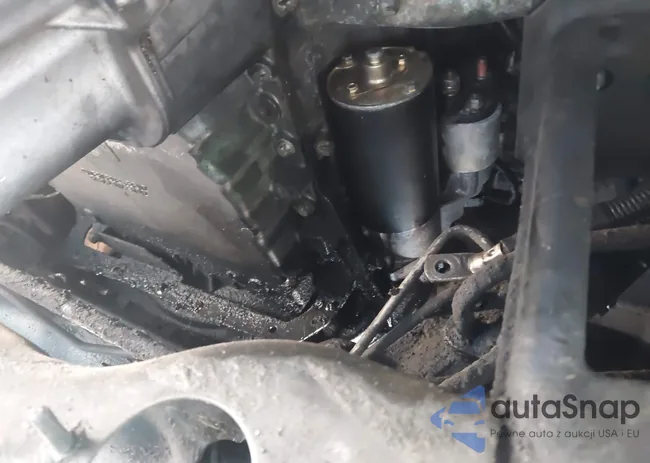 WD3PE8CB8C5680484: 43197403