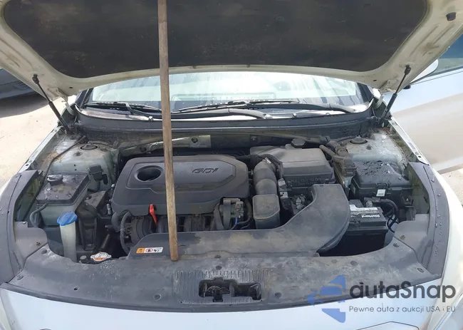 5NPE24AFXGH355121: 43196827