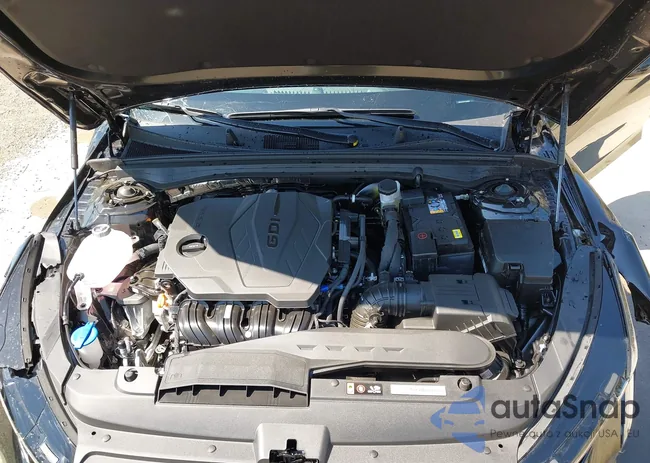 KNAG24J79T5400803: 43196842