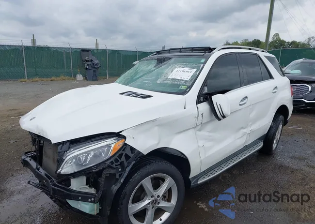 4JGDA5HB7JB076608: 43196919