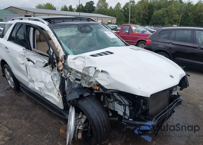 4JGDA5HB7JB076608: 43196919