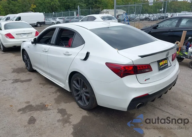 19UUB3F88KA801512: 43198021