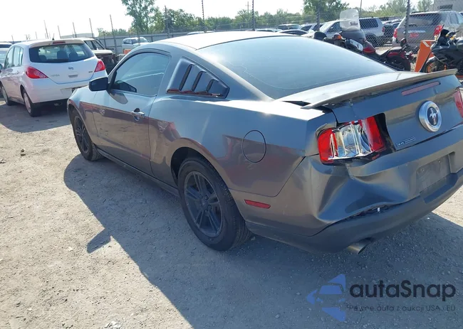 1ZVBP8AM8C5263572: 43198172