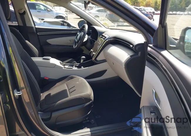 5NMJBCAE2PH273302: 43198399