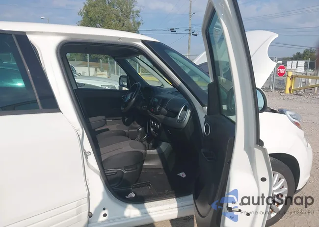 ZFBCFABH5FZ031305: 43199008