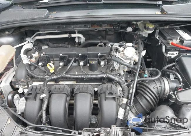 1FADP3F29GL365248: 43199120