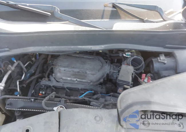 5FNYF48429B000869: 43199554