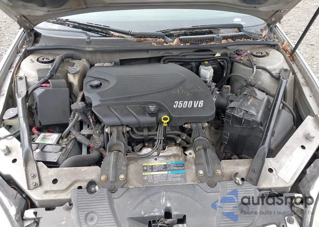 2G1WB55K369260489: 43200082