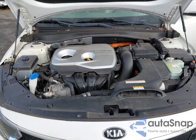 KNAGV4LD4H5007440: 43200770