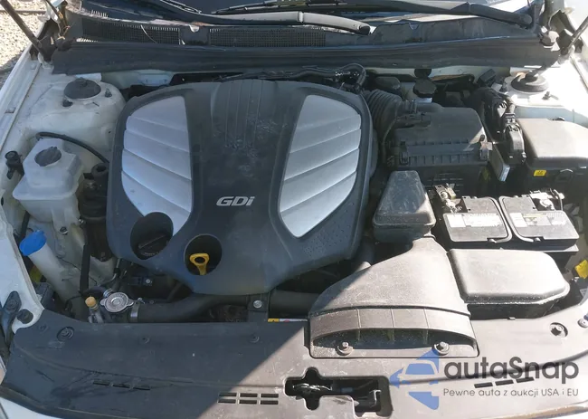 KNALN4D75F5195728: 43202143