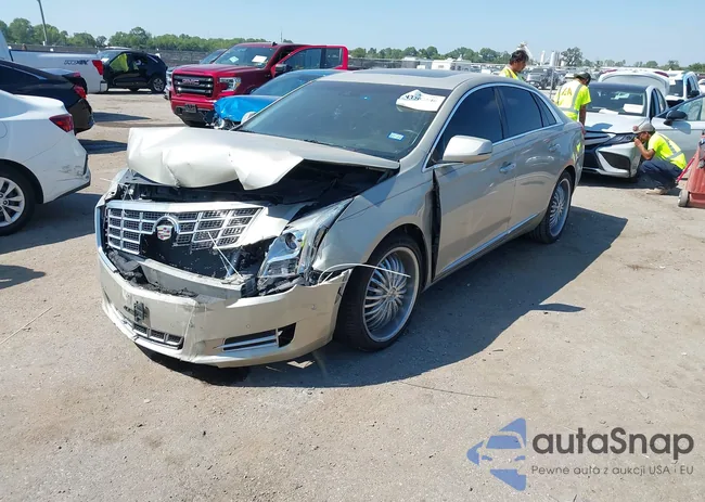 2G61M5S32E9318974: 43202146