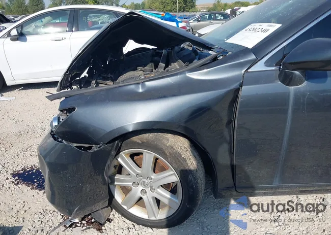 JTHBJ46G492329950: 43202240